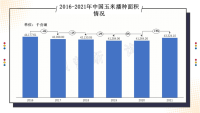 把种业振兴行动切实抓出成效，把当家品种牢牢攥在自己手里