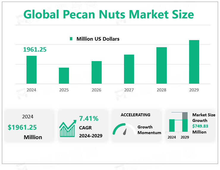 Global Pecan Nuts Market Size