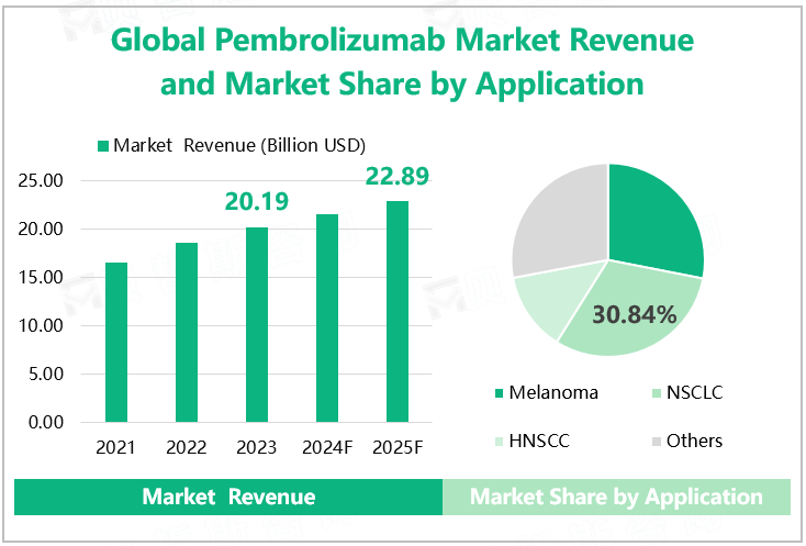 Global Pembrolizumab Market Revenue and Market Share by Application 