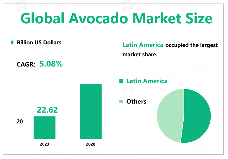 Global Avocado Market Size