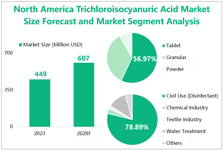 North America Trichloroisocyanuric Acid Market Size Forecast and Market Segment Analysis