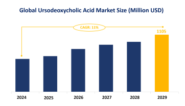 Ursodeoxycholic Acid Market Segmentation and Market Trend Analysis: Synthetic Ursodeoxycholic Acid is Expected to Dominate the Market by Type in 2024