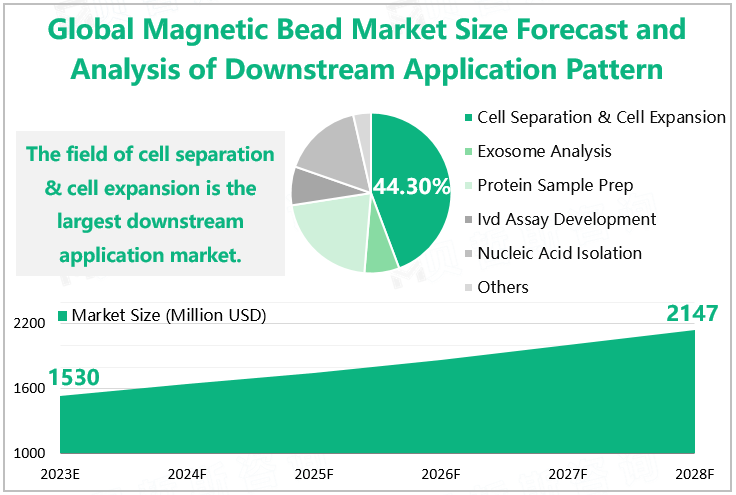 Global Magnetic Bead Market Size Forecast and Analysis of Downstream Application Pattern 