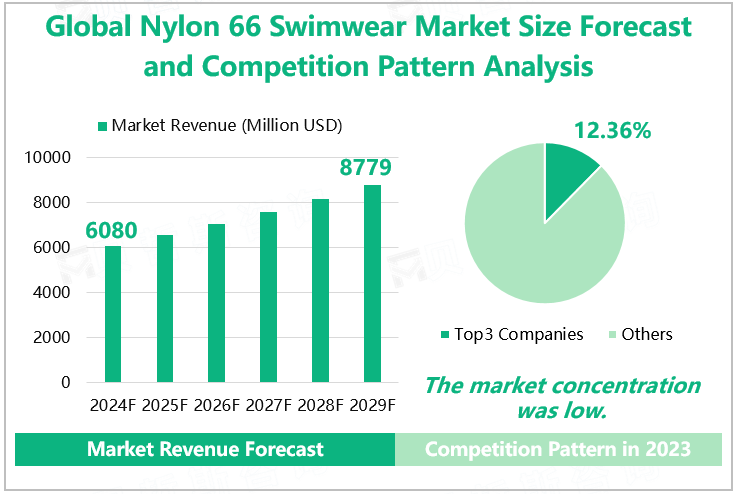 Global Nylon 66 Swimwear Market Size Forecast and Competition Pattern Analysis 