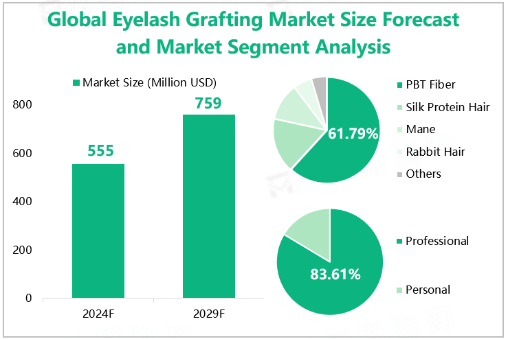 Global Eyelash Grafting Market Size Forecast and Market Segment Analysis 