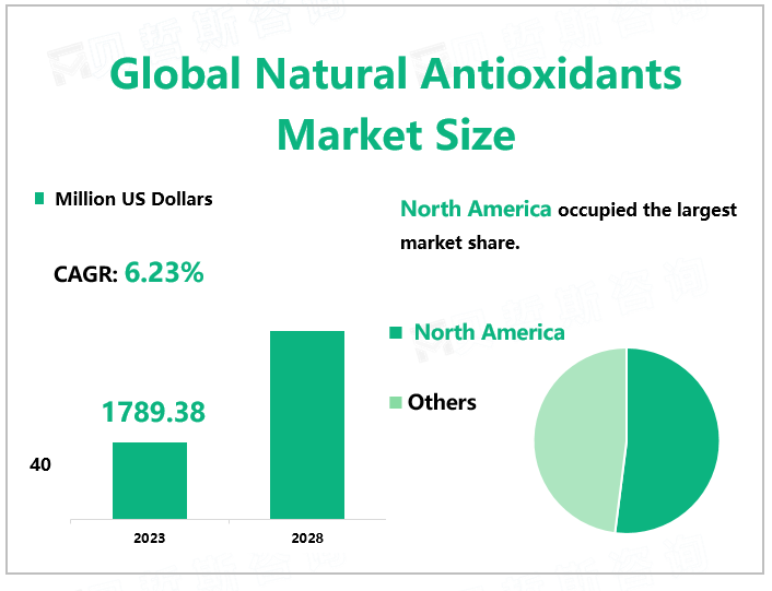 Global Natural Antioxidants Market Size