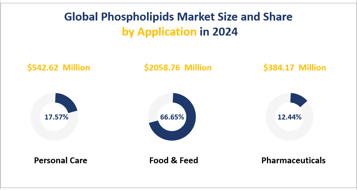 Global Phospholipids Market Size and Share by Application in 2024