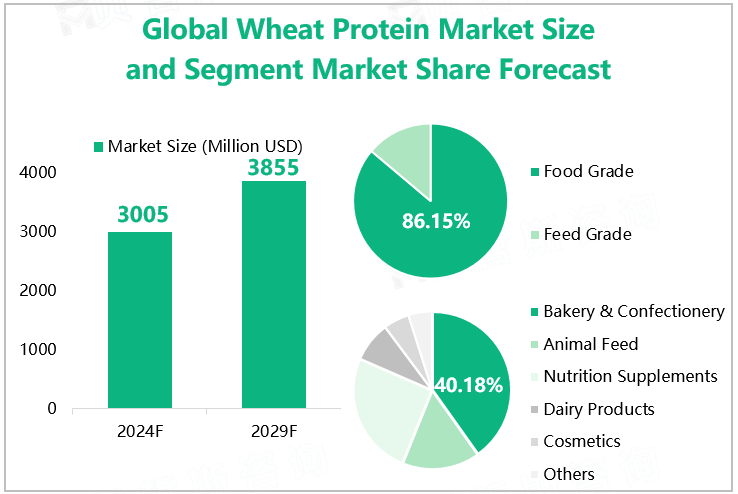 Global Wheat Protein Market Size and Segment Market Share Forecast 