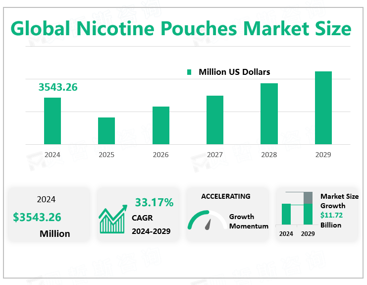 Global Nicotine Pouches Market Size