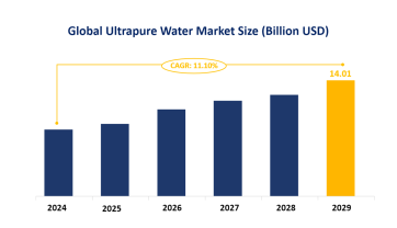 Ultrapure Water Market Segmentation and Market Insights: On-site Generation Segment is Expected to Dominate the Global Market with a Share of 53.40% by 2024