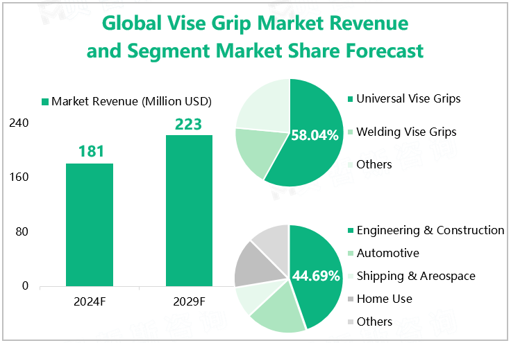 Global Vise Grip Market Revenue and Segment Market Share Forecast 