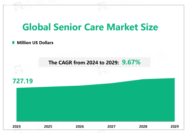 Global Senior Care Market Size