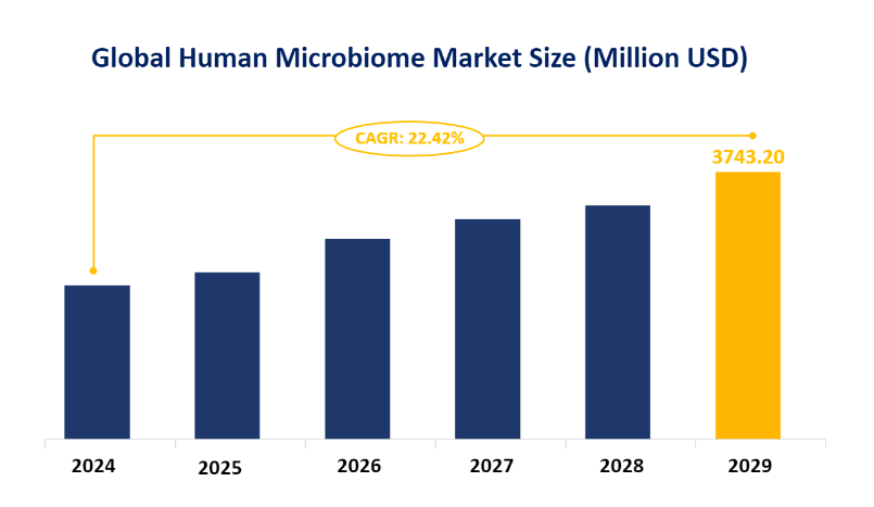 Global Human Microbiome Market Size (Million USD)