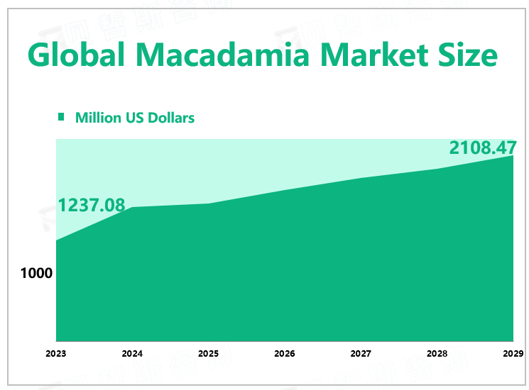 Global Macadamia Market Size