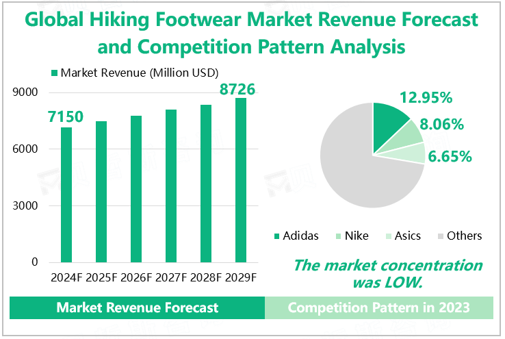 Global Hiking Footwear Market Revenue Forecast and Competition Pattern Analysis 