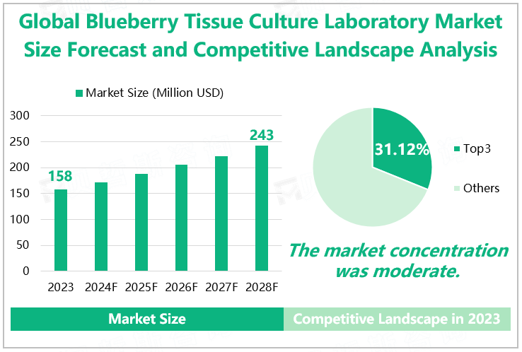 Global Tissue Culture Laboratory Blueberry Market Size Forecast and Competitive Landscape Analysis 
