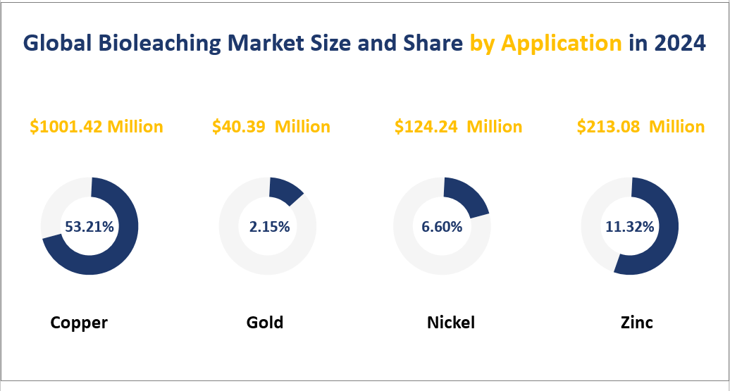 Global Bioleaching Market Size and Share by Application in 2024