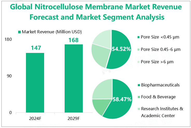 Global Nitrocellulose Membrane Market Revenue Forecast and Market Segment Analysis 