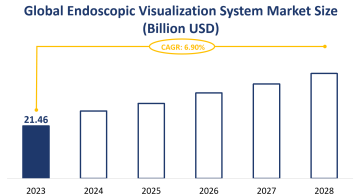 Global Endoscopic Visualization System Market Size is Expected to Grow at a CAGR of 6.90% from 2023-2028
