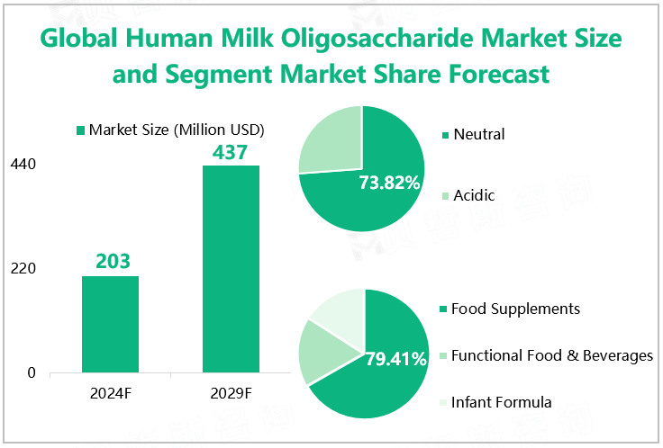 Global Human Milk Oligosaccharide Market Size and Segment Market Share Forecast 