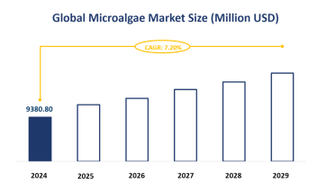 Global Microalgae Market Size is Expected to Grow at a CAGR of 7.20% from 2024-2029