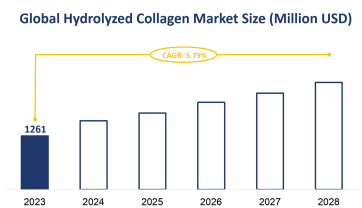 Global Hydrolyzed Collagen Market Size is Expected to Grow at a CAGR of 5.79% from 2023-2028