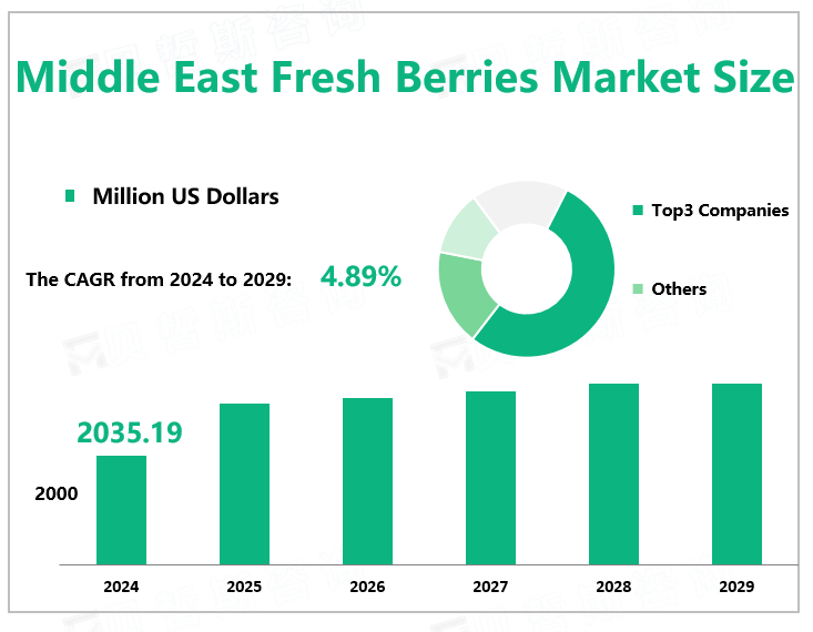 Middle East Fresh Berries Market Size