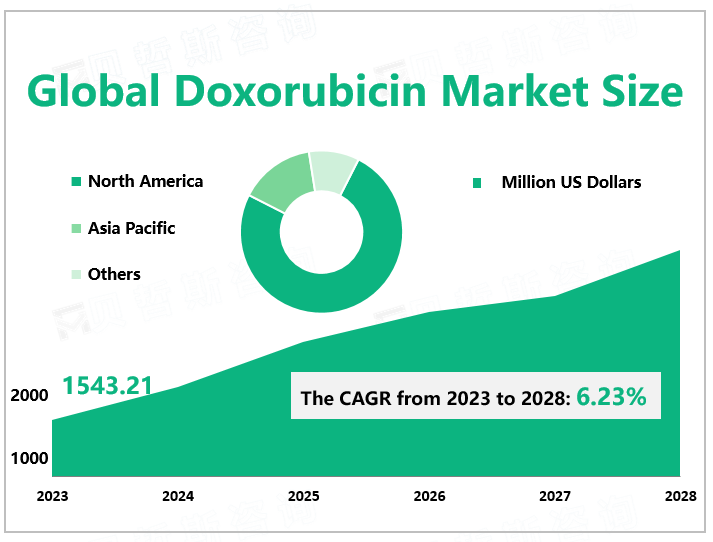 Global Doxorubicin Market Size