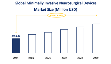 Minimally Invasive Neurosurgical Devices Industry Regional Analysis: North America is Expected to Dominate the Global Market with a Market Share of 38.02% in 2024