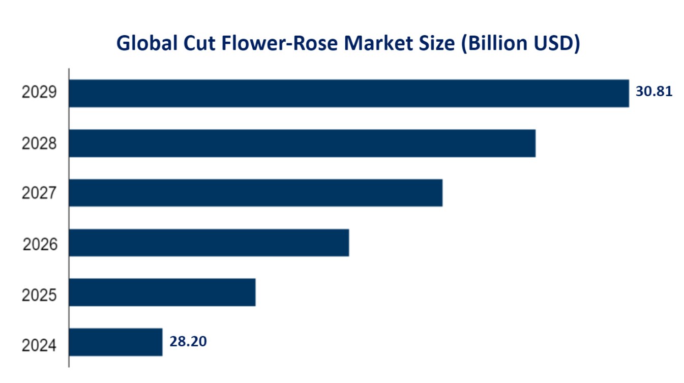 Global Cut Flower-Rose Market Size (Billion USD) 