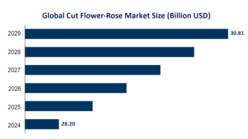 Cut Flower-Rose Market Trends: Global Market Size is Projected to Grow from USD 28.20 Billion in 2024 to USD 30.81 Billion by 2029