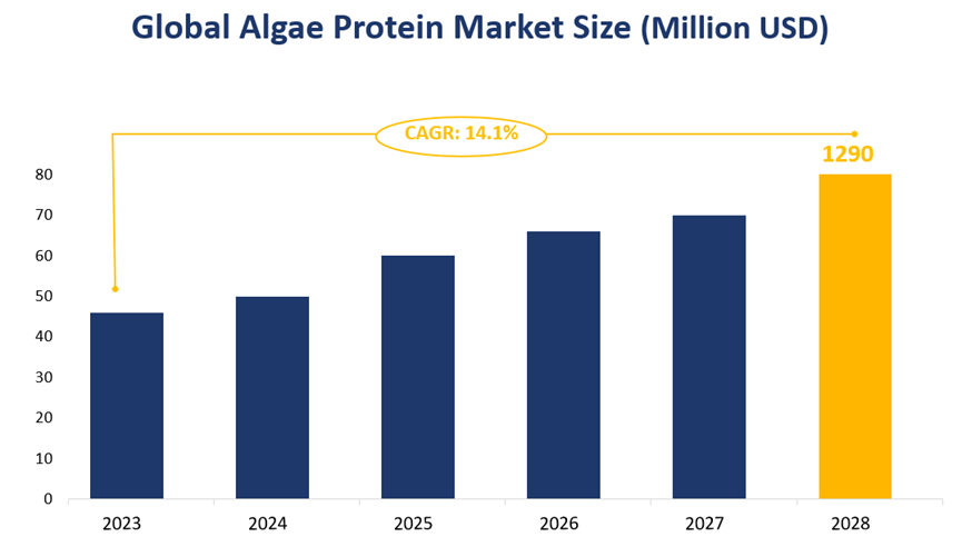 Global Algae Protein Market Size (Million USD)