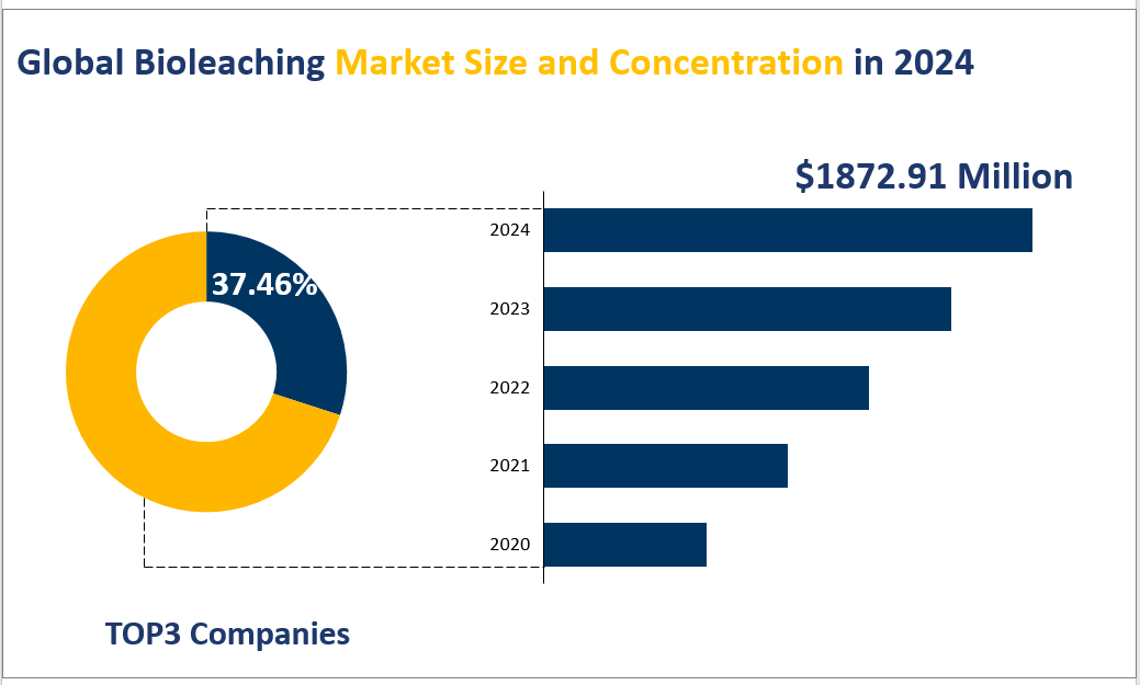 Global Bioleaching Market Size and Concentration in 2024