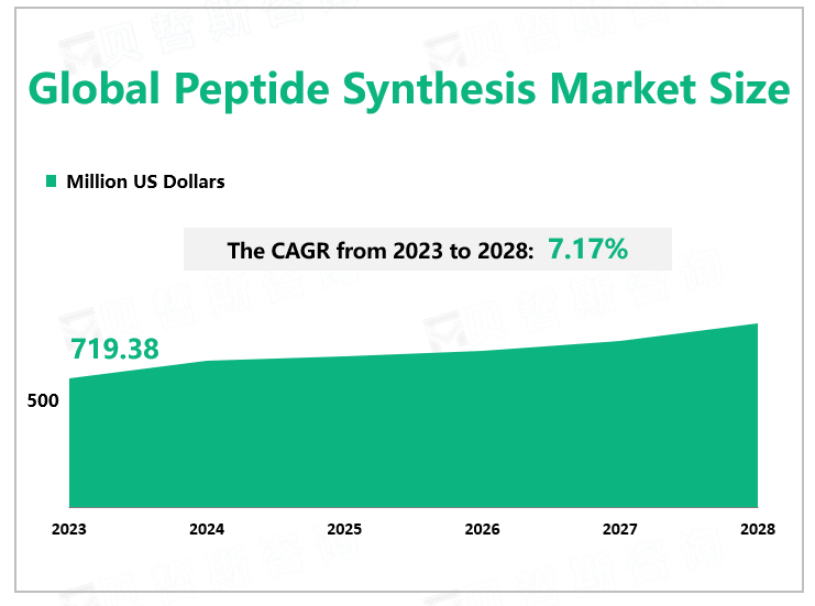 Global Peptide Synthesis Market Size 