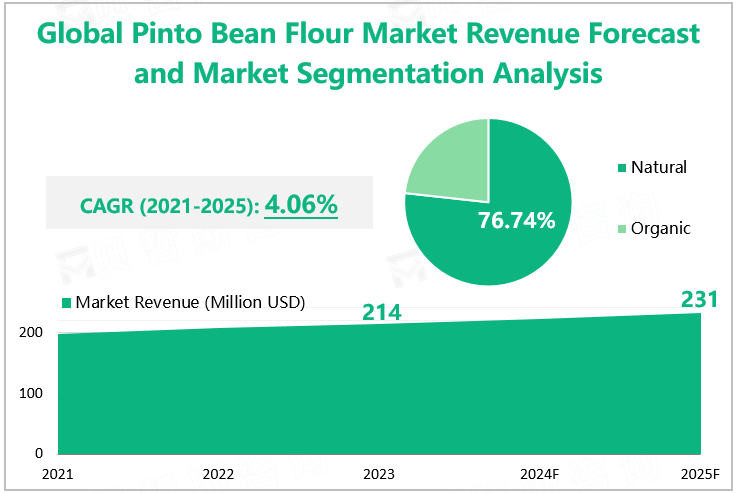 Global Pinto Bean Flour Market Revenue Forecast and Market Segmentation Analysis 