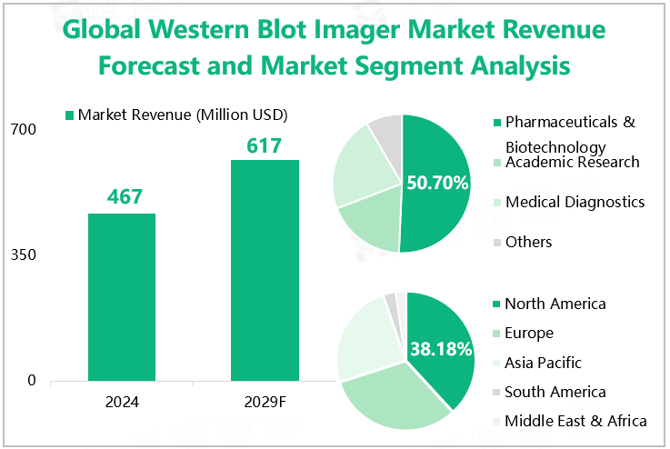 Global Western Blot Imager Market Revenue Forecast and Market Segment Analysis 