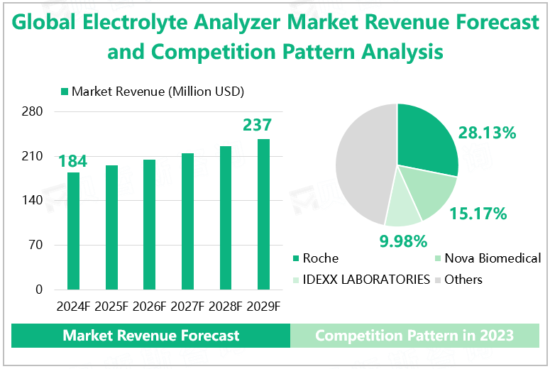 Global Electrolyte Analyzer Market Revenue Forecast and Competition Pattern Analysis 