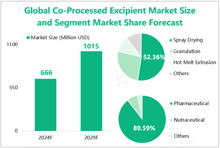 Global Co-Processed Excipient Market Size and Segment Market Share Forecast 