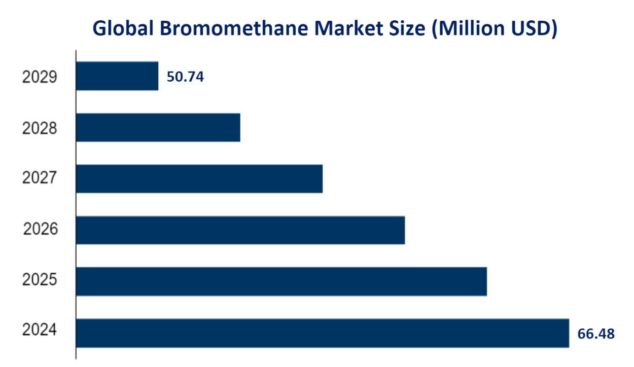 Global Bromomethane Market Size (Million USD) 