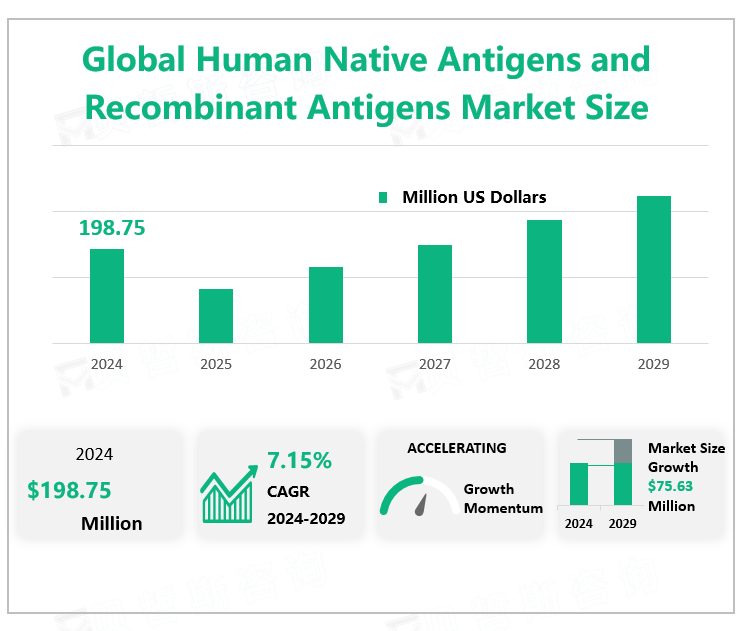 Global Human Native Antigens and Recombinant Antigens Market Size