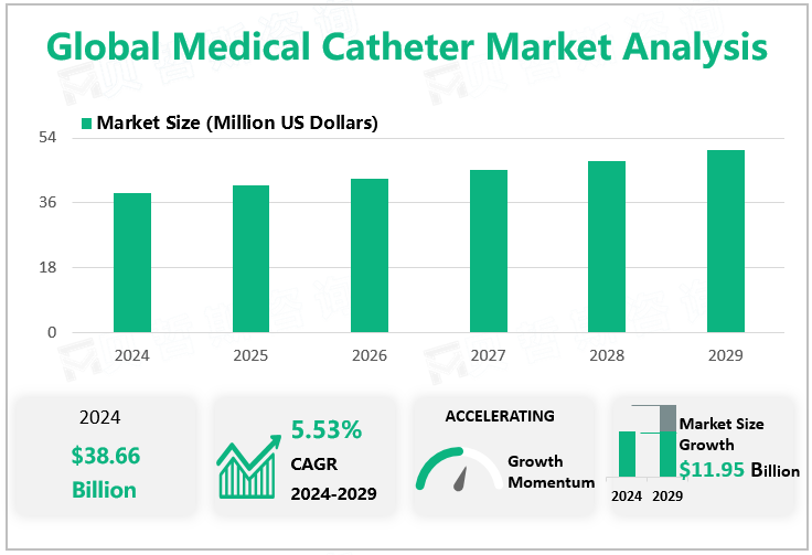 Global Medical Catheter Market Analysis‌ 