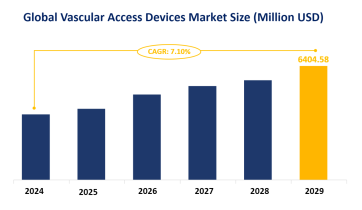 Vascular Access Devices Market Size, Market Data and Growth Trend Forecast: Global Market is Expected to Grow at a CAGR of 7.10% from 2024-2029