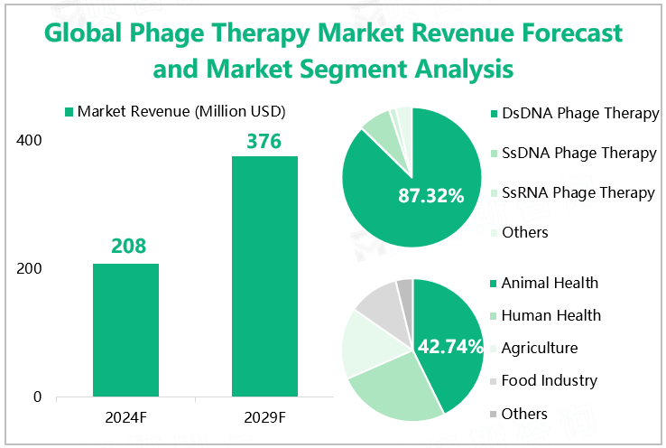 Global Phage Therapy Market Revenue Forecast and Market Segment Analysis 