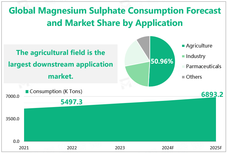 Global Magnesium Sulphate Consumption Forecast and Market Share by Application 