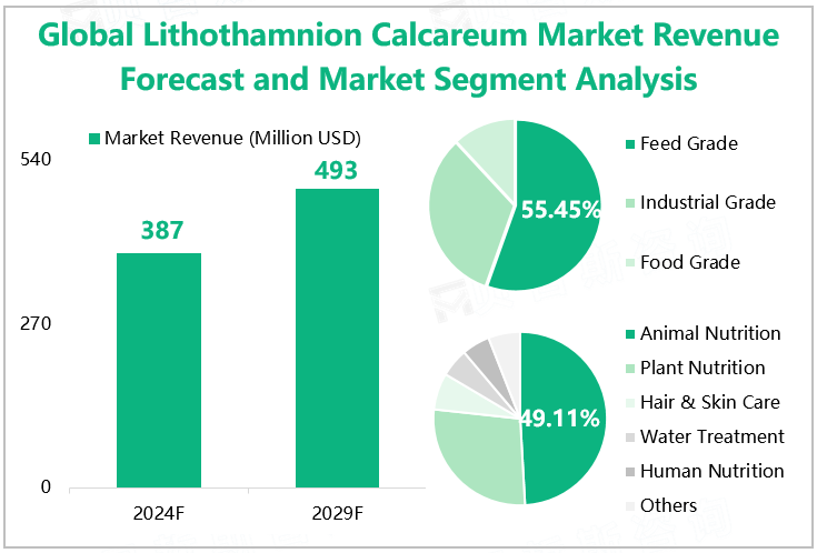 Global Lithothamnion Calcareum Market Revenue Forecast and Market Segment Analysis 