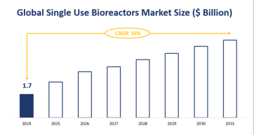 Global Single Use Bioreactors Market Analysis By Types (Wave-induced Motion Single Use Bioreactors, Stirred Single Use Bioreactors, Other), By Applications Covered (R&D, Biopharmaceutical Manufacturers, Other) –Forecast to 2031