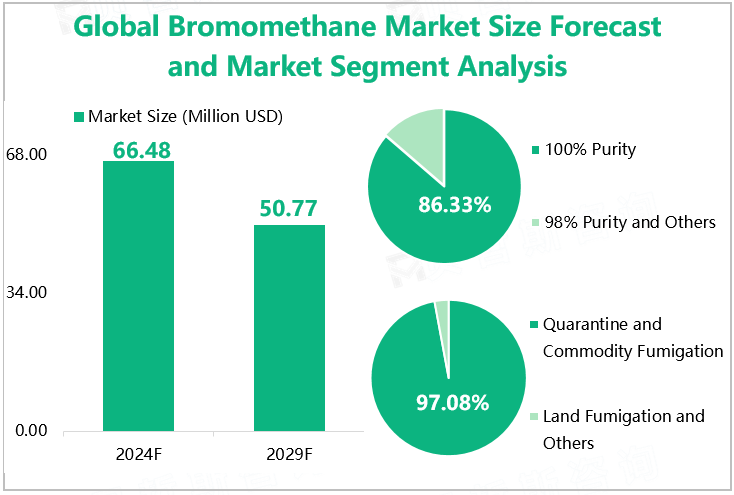 Global Bromomethane Market Size Forecast and Market Segment Analysis 