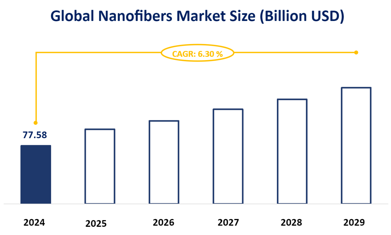 Global Nanofibers Market Size (Billion USD)