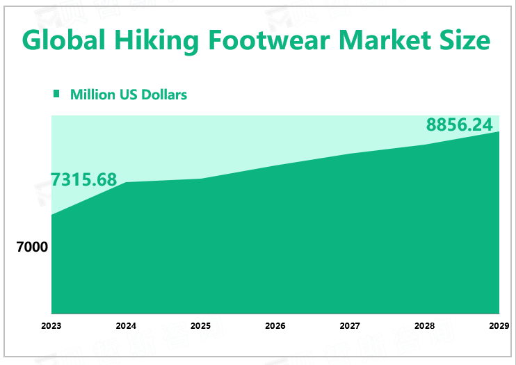 Global Hiking Footwear Market Size