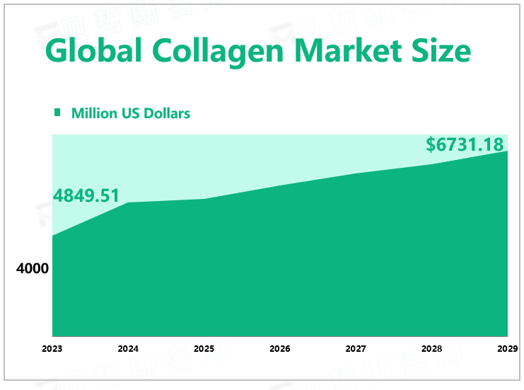 Global Collagen Market Size